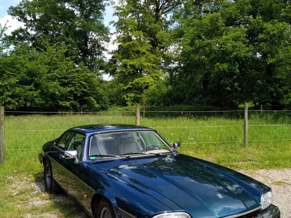 JAG-Picknick im Tiergarten